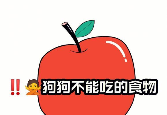 《迷失岛》游戏中狗狗不吃骨头怎么办（解决方案一键get）
