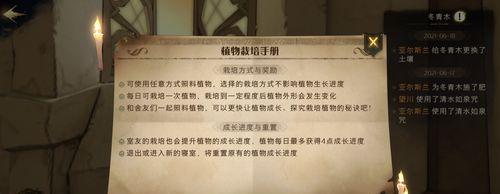 哈利波特魔法觉醒保护南瓜卡组攻略（以游戏为主的南瓜卡组强力阵容构建及战术应对）