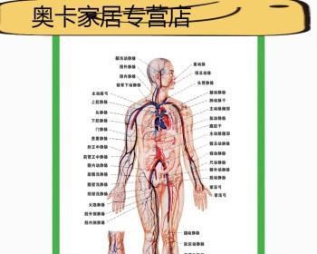 《以人体工厂心脏通关技巧》（如何在游戏中成功通过心脏关卡）