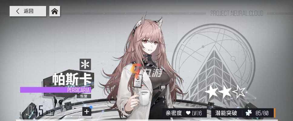 《守卫函数卡搭配攻略》（以少前云图计划为例）