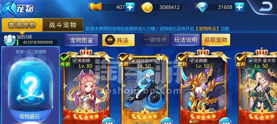 《炫斗无双》游戏勇者之路详尽攻略（从菜鸟到高手）