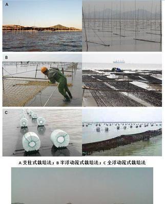《缺氧》游戏中热泉环境下的藻类养殖箱使用方法一览（探索热泉世界）
