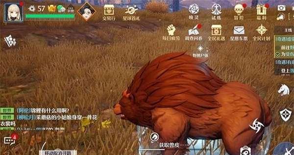 荒野的寿飞行队（如何救人）