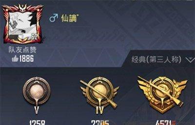 《和平精英名字大全——打造个性化游戏名字》（15个独特的和平精英名字与命名技巧）