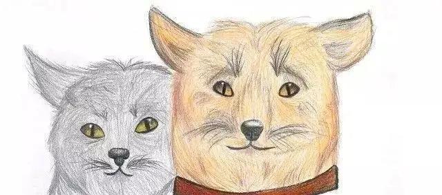 《如何在游戏中永久驯服饥荒浣熊猫》（学习游戏技巧）