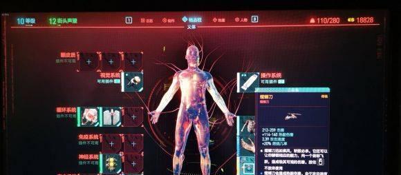 《赛博朋克2077》攻略（如何成功解救布里克）