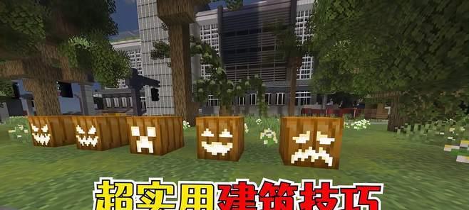 《我的世界》南瓜种子的用处及获取方法（探索南瓜种子的神奇用途）