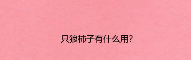 只狼（以游戏为主）