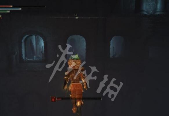 以艾尔登法环长尾猫别针护身，助你走上成功之路（玩转游戏）