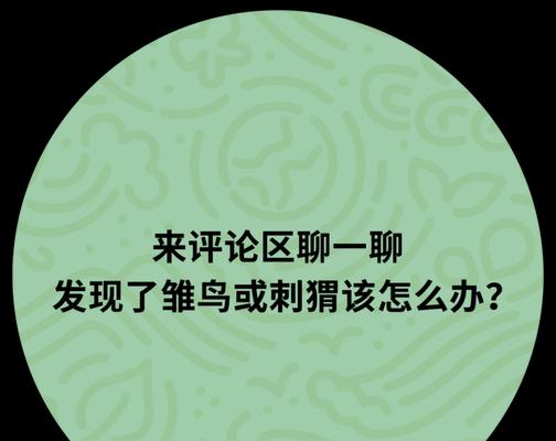 如何诱拐博德之门3的猫头鹰幼崽（用这些方法轻松抓住它们）