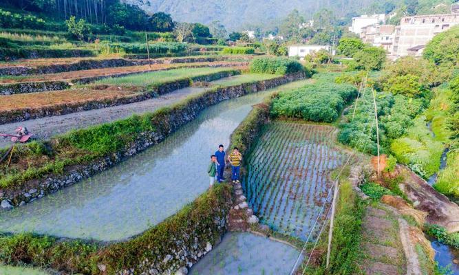 《以仙石奇缘新手开荒最全指南》（一站式教你玩转仙石奇缘）
