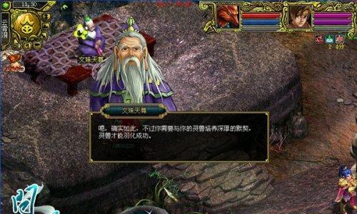 《问道》宠物后缀全解析——提升游戏乐趣的关键（游戏中宠物后缀的意义与用途）