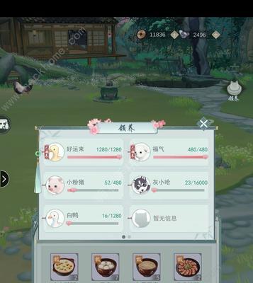 《江湖悠悠施涉春好感度送礼攻略》（送礼技巧助你赢得施涉春芳心）