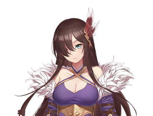 《姬魔恋战纪》角色推荐培养攻略——选择适合你的英雄