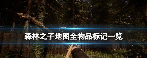如何获得森林之子潜水器？攻略中常见问题解答？