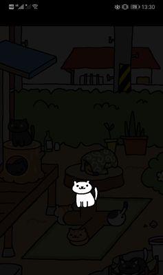 猫咪后院拍照技巧有哪些？如何捕捉猫咪的可爱瞬间？
