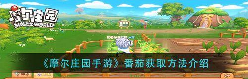 摩尔庄园手游摇钱树产出一览？如何最大化收益？