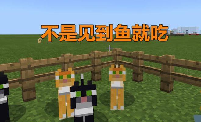 《我的世界》中豹猫的习性是什么？如何驯服豹猫？