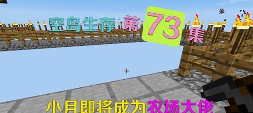 《我的世界》中如何加速农作物的生长过程？有哪些技巧可以使用？