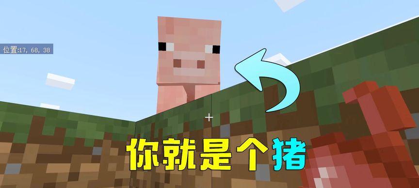 我的世界中猪圈的布置方法是什么？布置猪圈的教程在哪里可以找到？