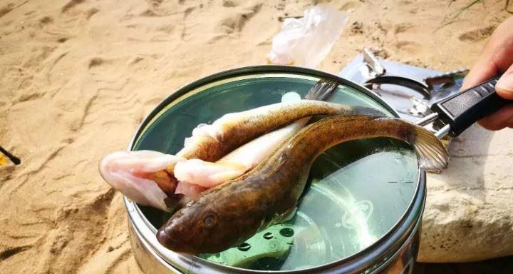 荒岛求生预约入口在哪里？如何进行预约？