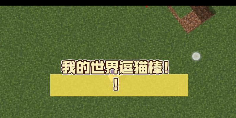 我的世界如何抓小猫？有哪些技巧？
