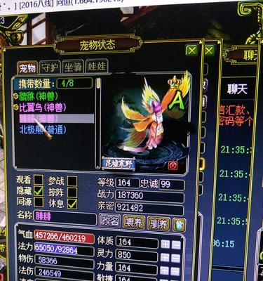 问道木爬塔娃娃怎么加点？加点的策略是什么？