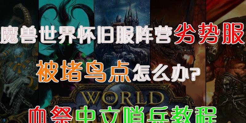 魔兽世界鸟的技能使用方法是什么？