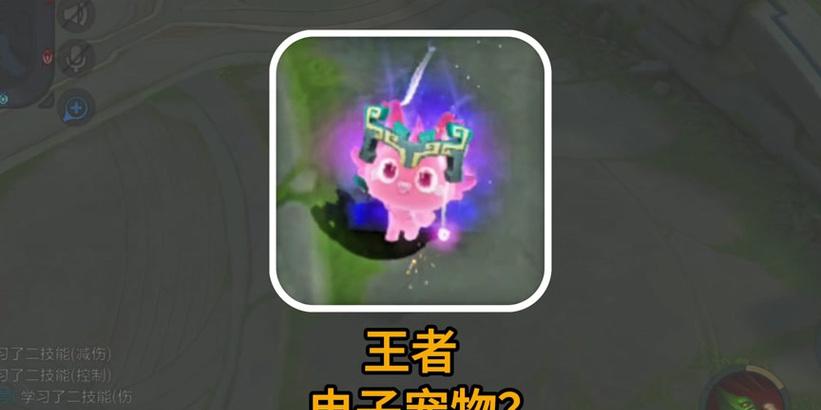 王者荣耀宠物灵宝最新价格是多少？购买途径有哪些？