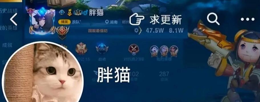 《王者荣耀》与胖猫联动了哪些内容？