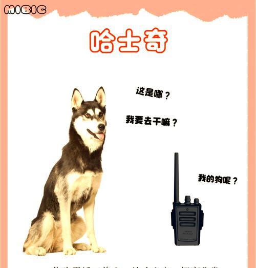 如何为网红警犬取一个好听的名字？好听的名字对警犬有何影响？