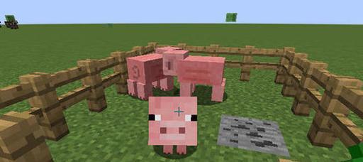 在Minecraft中如何给猫加血？