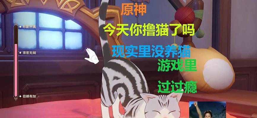 原神中哪里可以拍摄到猫？