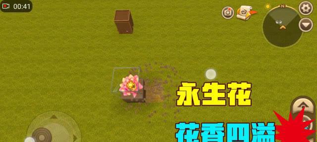 迷你世界边边花如何制作？制作步骤是什么？