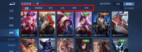 王者荣耀怎么看自己拥有的皮肤？