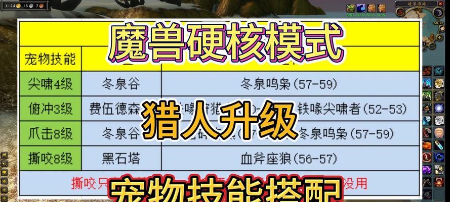 魔兽世界双法一猎人怎么刷naxx小怪？有效刷怪的策略是什么？