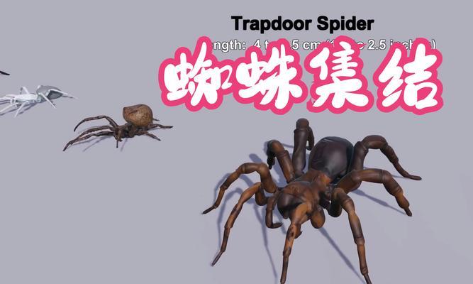 我的世界中如何找到蜘蛛？