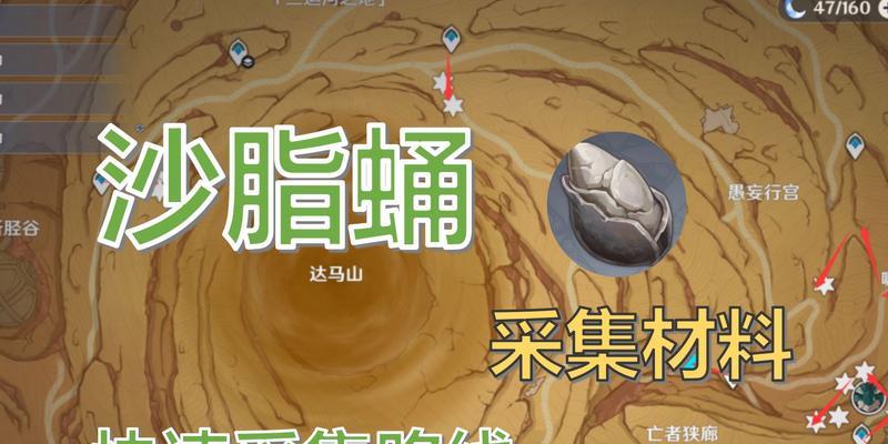 原神沙脂蛹在哪里可以购买？