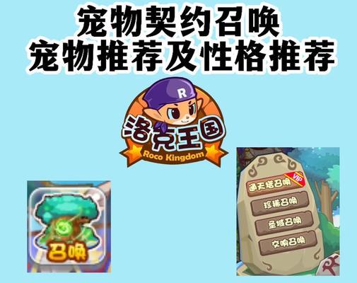 洛克王国宠物皮肤如何升级？