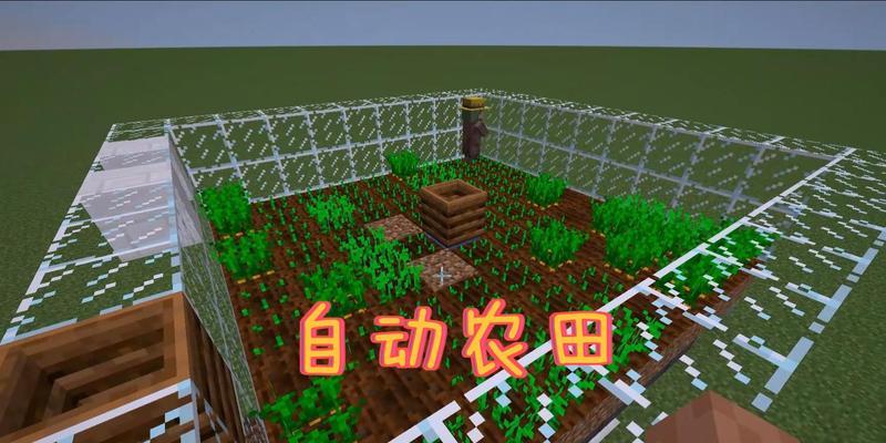 我的世界中农夫角色如何种植作物？有哪些技巧？