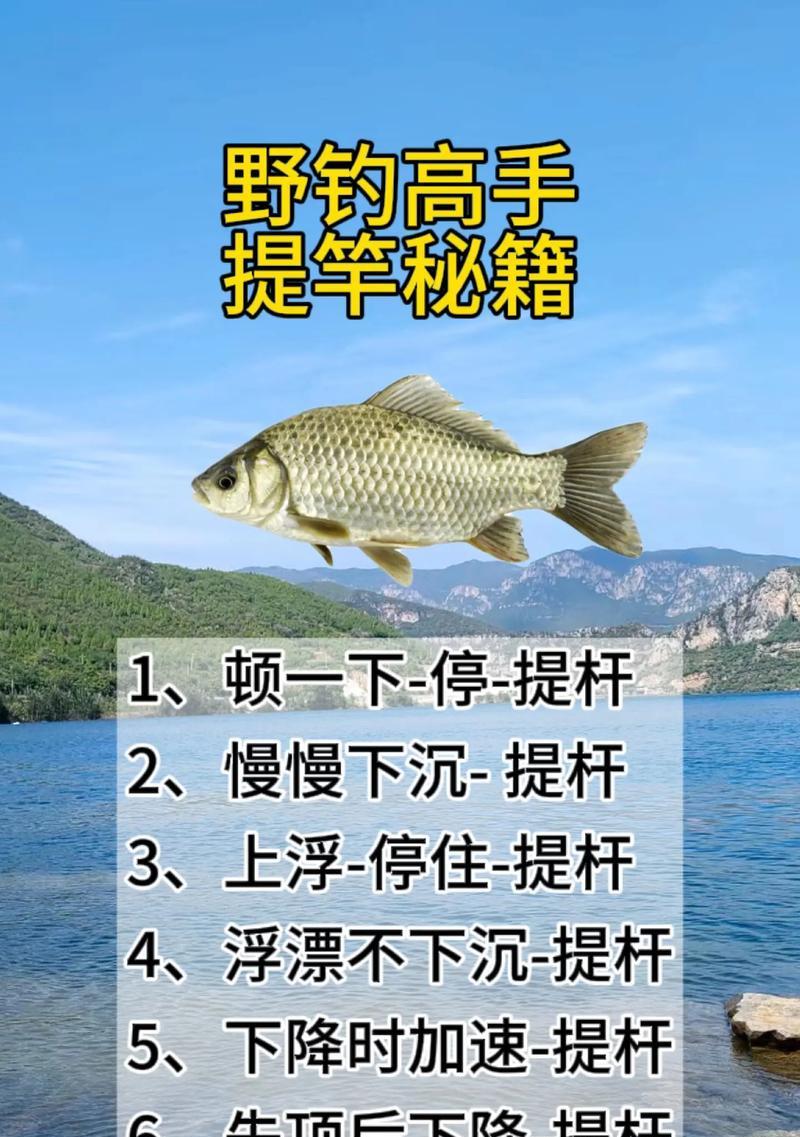 钓鱼最快方法是什么？