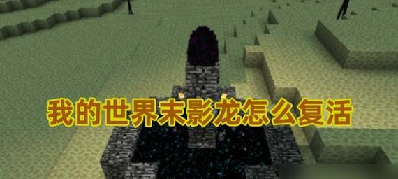 我的世界末影龙死亡后应该怎么办？后续步骤是什么？