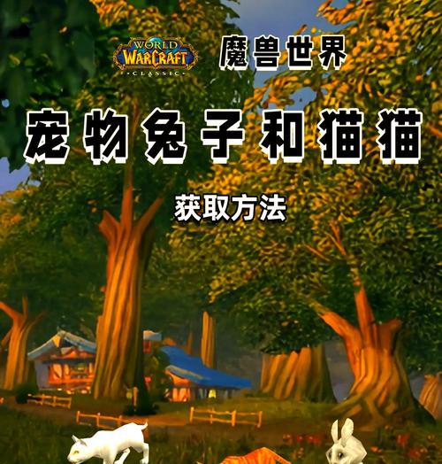 魔兽世界中宠物如何放生？放生后会怎样？