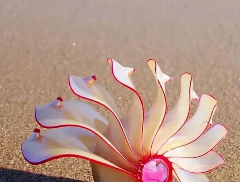 英雄联盟神奇海螺怎么用？神奇海螺有哪些隐藏功能？