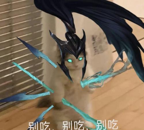 英雄联盟表情猫的名称是什么？