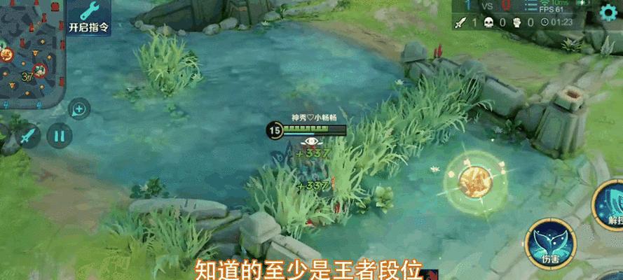 在王者荣耀中哪个英雄能有效克制猴子？