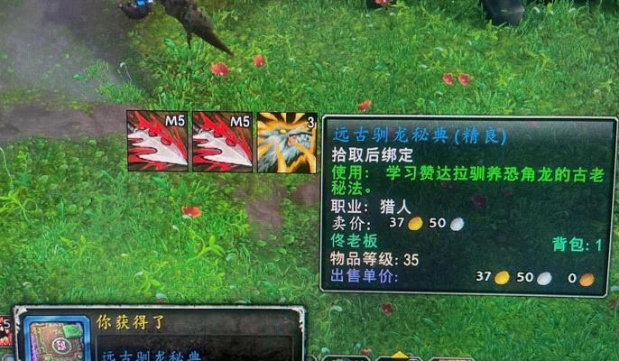 魔兽世界中如何快速升级抓到的宝宝？