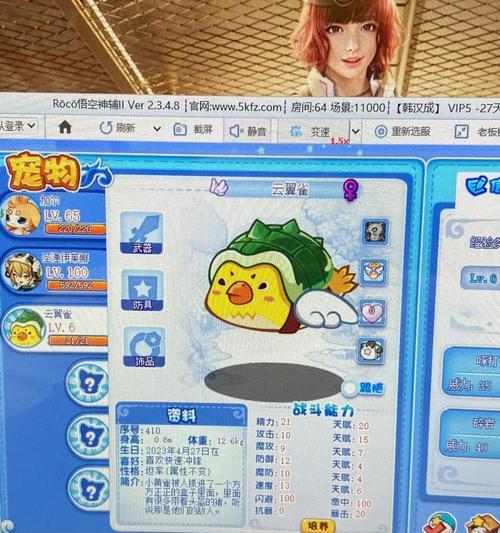 在网吧如何玩洛克王国？有哪些注意事项？
