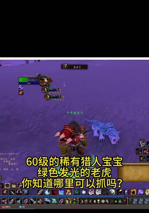 魔兽世界捕捉宝宝有哪些技巧？