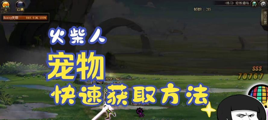 在地下城中宠物显示不出来的解决方法是什么？